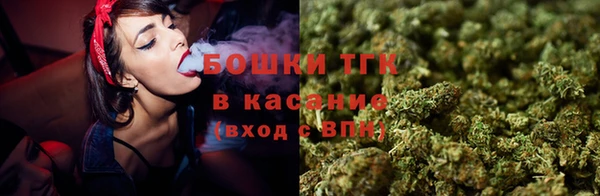 молекула духа Навашино