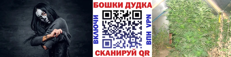 Шишки марихуана семена  Малая Вишера 